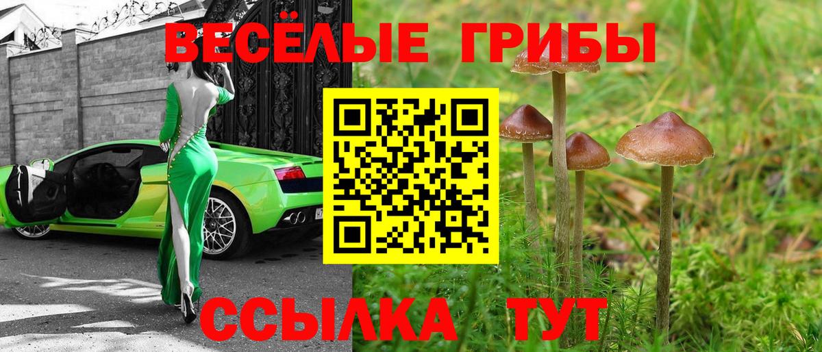 Галлюциногенные грибы Psilocybe Сарапул
