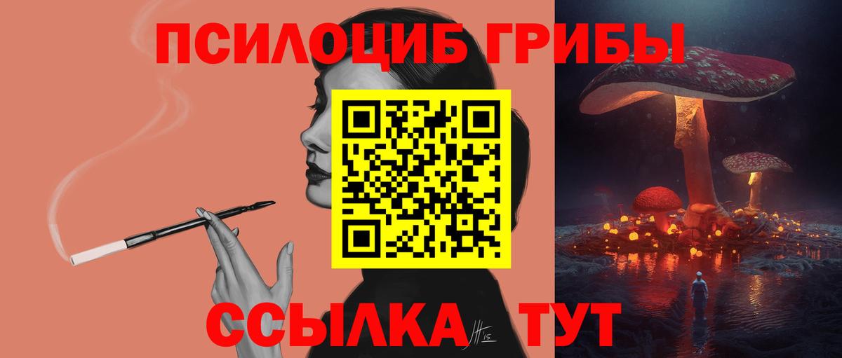 Галлюциногенные грибы Psilocybe  Вход с VPN  Сарапул 